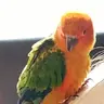 ROBERTG1994