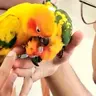 Kiwi&Zeus