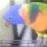 Sean_22
