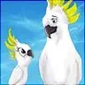 parrotsnpineapple