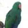 cruzesaurabh