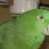 sullivanrio