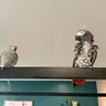 Shades of Grey