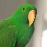 Any Name You Wish