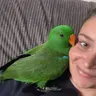 Teaganb7