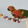 Bradmtx