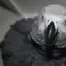 Beakie