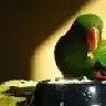 Ekkie2