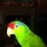 GreenCheekMe
