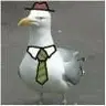 JPBirdie