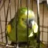 PickleME
