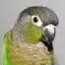 FURBE1