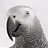 mctbone13@comcast.net