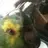 Arnies_Mummy