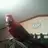 dknight8919