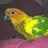 Ashlie1022