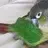 chippy