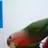 Jessine71