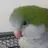 Poppetsmum