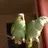 gremikbroof2amazons