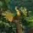 PegasisterMacaw123
