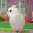 healthyfeathers