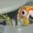 Ollietheconure