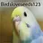 Birdsloveseeds123