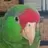 fowlstack