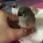 SugarFeather