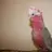 LeoTheGalah