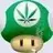 MushroomMang