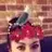 Jacqui_m