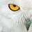 snowbird2