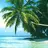 Tropical Nature