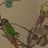 Conurelover12