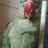Mithu_