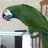pet3graphics