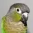FURBE1