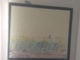 November 2019 POTM Contest