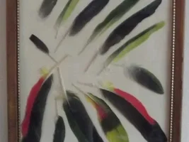 What do you do with your birds' feathers?