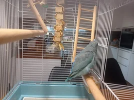 Male or female?