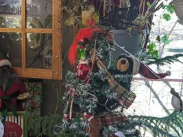 CONURE THREAD