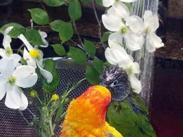 May POTM Contest