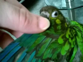 Hey guys!