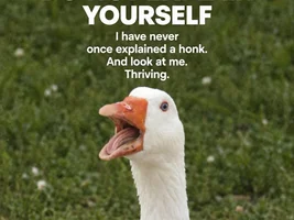 The best Bird meme!!