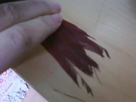 Why does his tail look like this?