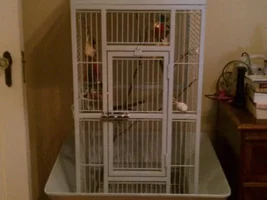 New Cage for new baby