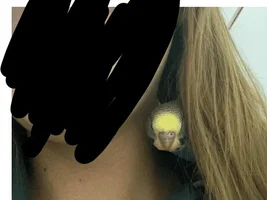 Wanted advice