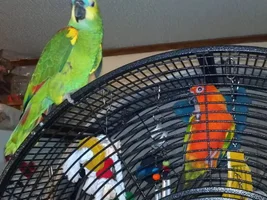 Couple pics of Sassy